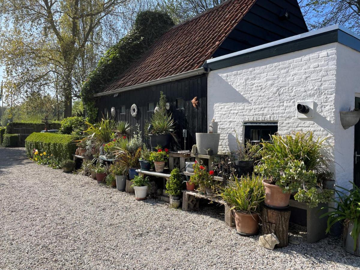 Vakantieoord "De Peppelhoeve" Koudekerke Bagian luar foto